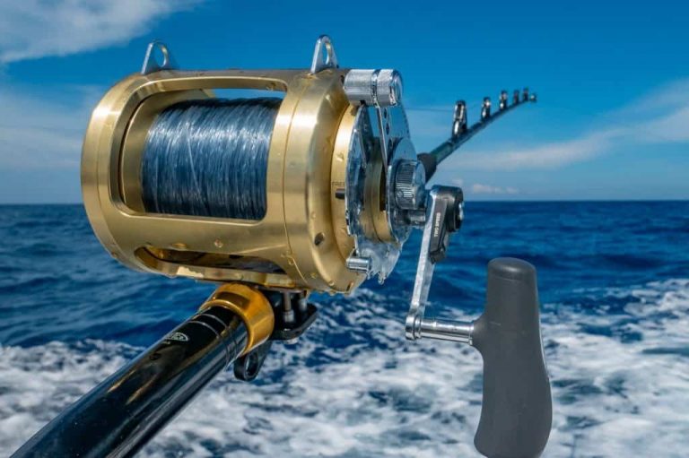 How to Put Line on a Spinning Reel Outdoor Craving