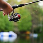 how to fish with crickets