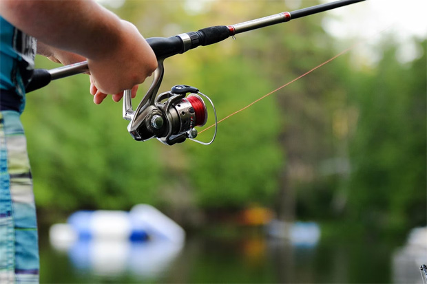 how to fish with crickets